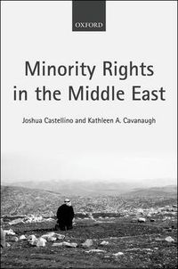 Cover image for Minority Rights in the Middle East