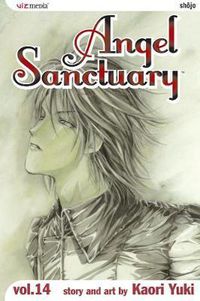 Cover image for Angel Sanctuary, Vol. 14