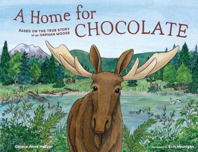Cover image for A Home for Chocolate