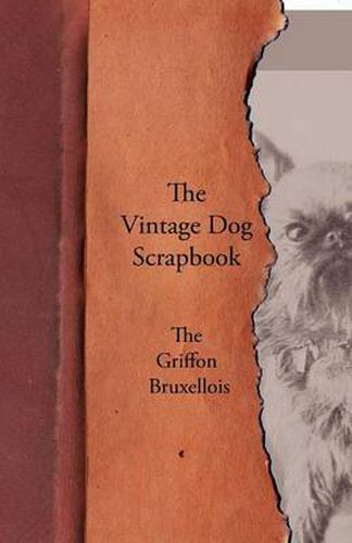 Cover image for The Vintage Dog Scrapbook - The Griffon Bruxellois