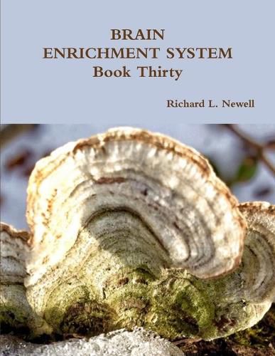 Cover image for BRAIN ENRICHMENT SYSTEM Book Thirty