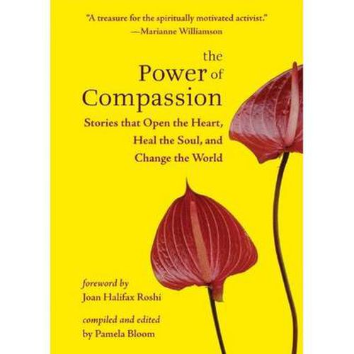 Cover image for The Power of Compassion: Stories That Open the Heart, Heal the Soul and Change the World