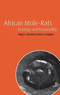 Cover image for African Mole-Rats: Ecology and Eusociality