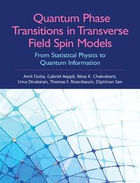 Cover image for Quantum Phase Transitions in Transverse Field Spin Models: From Statistical Physics to Quantum Information