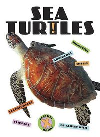 Cover image for Sea Turtles