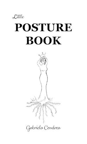 Cover image for Posture Book