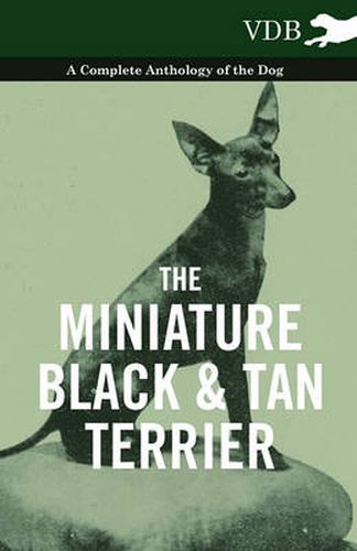 Cover image for The Miniature Black And Tan Terrier - A Complete Anthology of the Dog