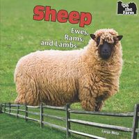 Cover image for Sheep