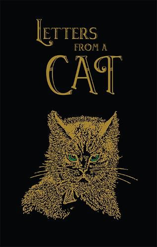 Cover image for Letters From A Cat (Collector's Edition- The Old Mill Press)