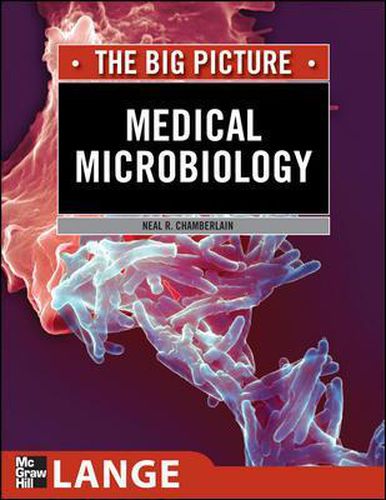 Cover image for Medical Microbiology: The Big Picture