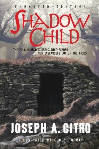 Cover image for Shadow Child