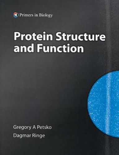 Cover image for Protein Structure and Function