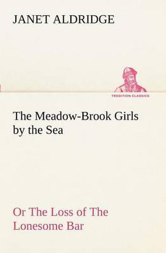 Cover image for The Meadow-Brook Girls by the Sea Or The Loss of The Lonesome Bar