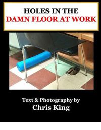 Cover image for Holes in the Damn Floor at Work: A Visual Study in the Habitat and Life of Holes in the Damn Floor at Work