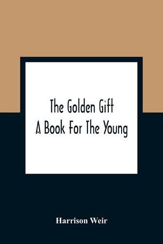 Cover image for The Golden Gift; A Book For The Young