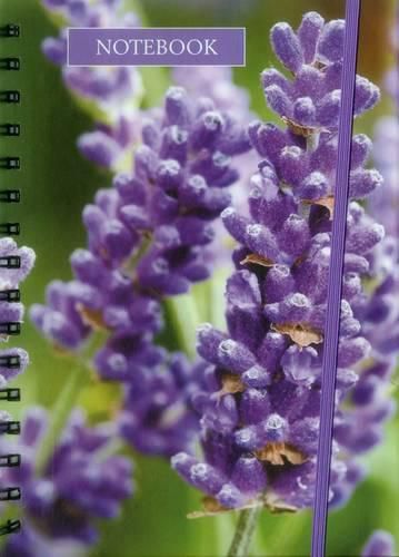 Cover image for Notebook Lavender