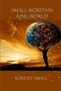 Cover image for Small Words in A Big World