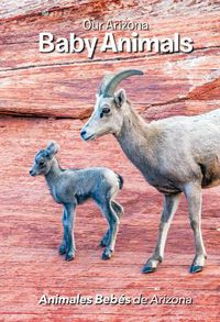 Cover image for Our Arizona: Baby Animals: Baby Animals