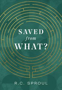 Cover image for Saved from What?