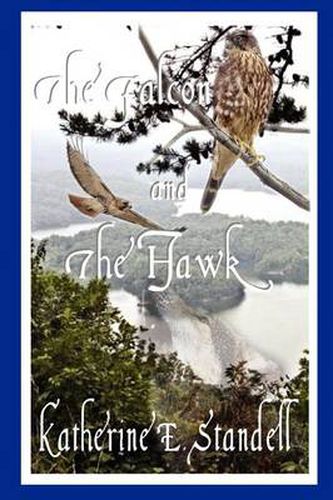 Cover image for The Falcon and the Hawk