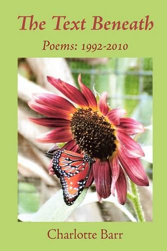 Cover image for The Text Beneath