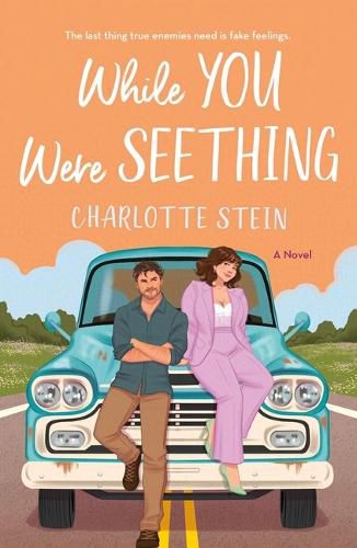 Cover image for While You Were Seething
