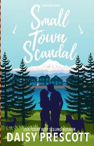 Cover image for Small Town Scandal