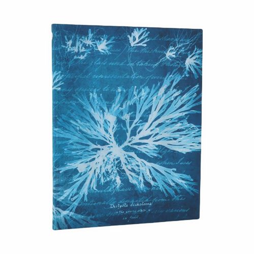 Cover image for Sea Flowers (Anna Atkins' Cyanotypes) Ultra Lined Softcover Journal (Elastic Band Closure)
