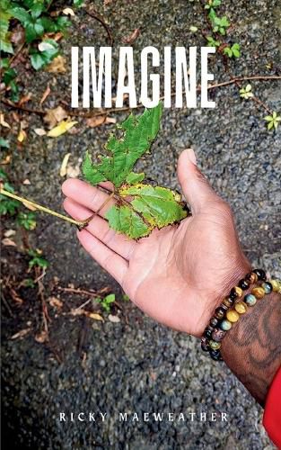 Cover image for Imagine