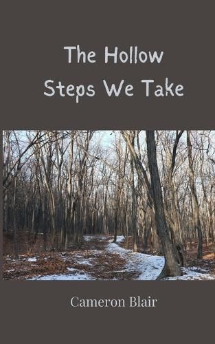 Cover image for The Hollow Steps We Take