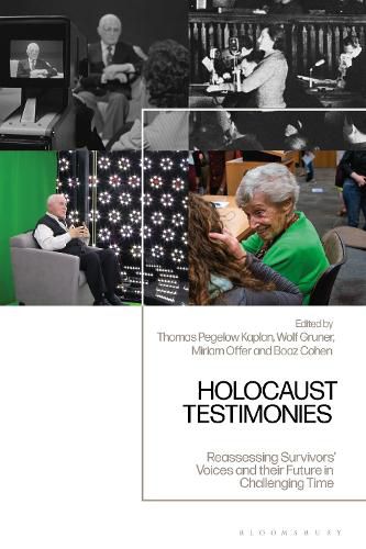 Cover image for Holocaust Testimonies