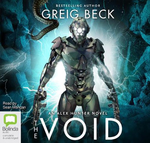 Cover image for The Void