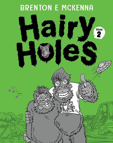Cover image for Hairy Holes