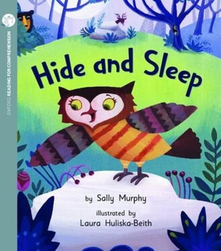 Cover image for Hide and Sleep: Oxford Level 5: Pack of 6