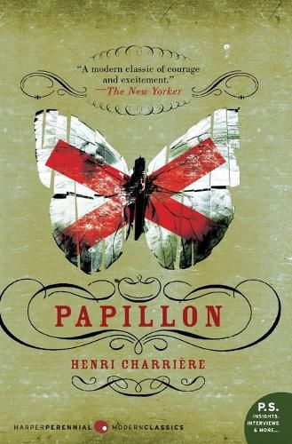 Cover image for Papillon