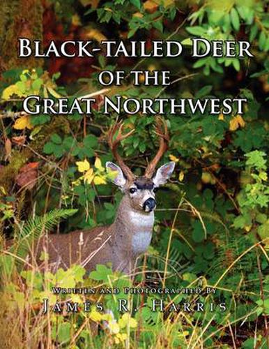 Cover image for Black-Tailed Deer of the Great Northwest