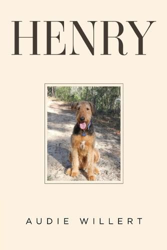 Cover image for Henry