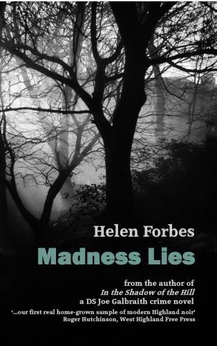 Cover image for Madness Lies