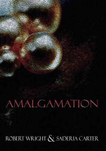 Cover image for Amalgamation: (Black & White Edition)