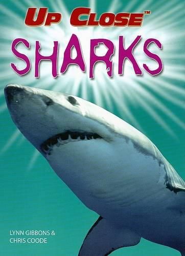 Cover image for Sharks