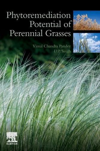 Cover image for Phytoremediation Potential of Perennial Grasses