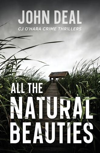 Cover image for All the Natural Beauties: A Suspense Thriller (Detective CJ O'Hara Debut)