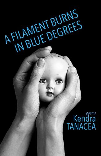 Cover image for A Filament Burns in Blue Degrees: Poems