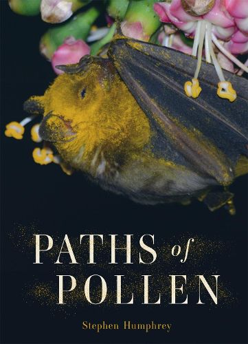 Cover image for Paths of Pollen