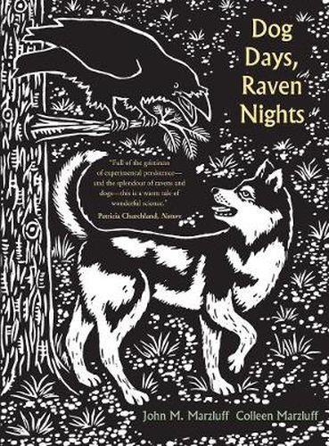 Cover image for Dog Days, Raven Nights