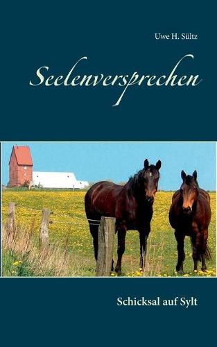 Seelenversprechen: Schicksal auf Sylt