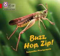 Cover image for Buzz, Hop, Zip!: Band 02a/Red a