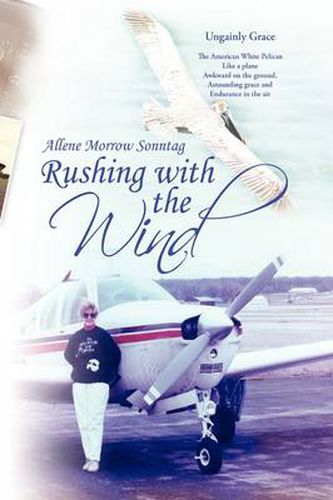 Cover image for Rushing with the Wind