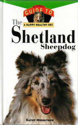 Cover image for The Shetland Sheepdog