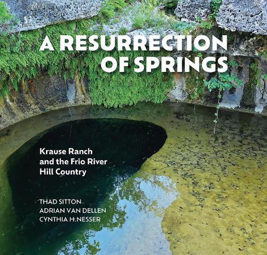 Cover image for A Resurrection of Springs